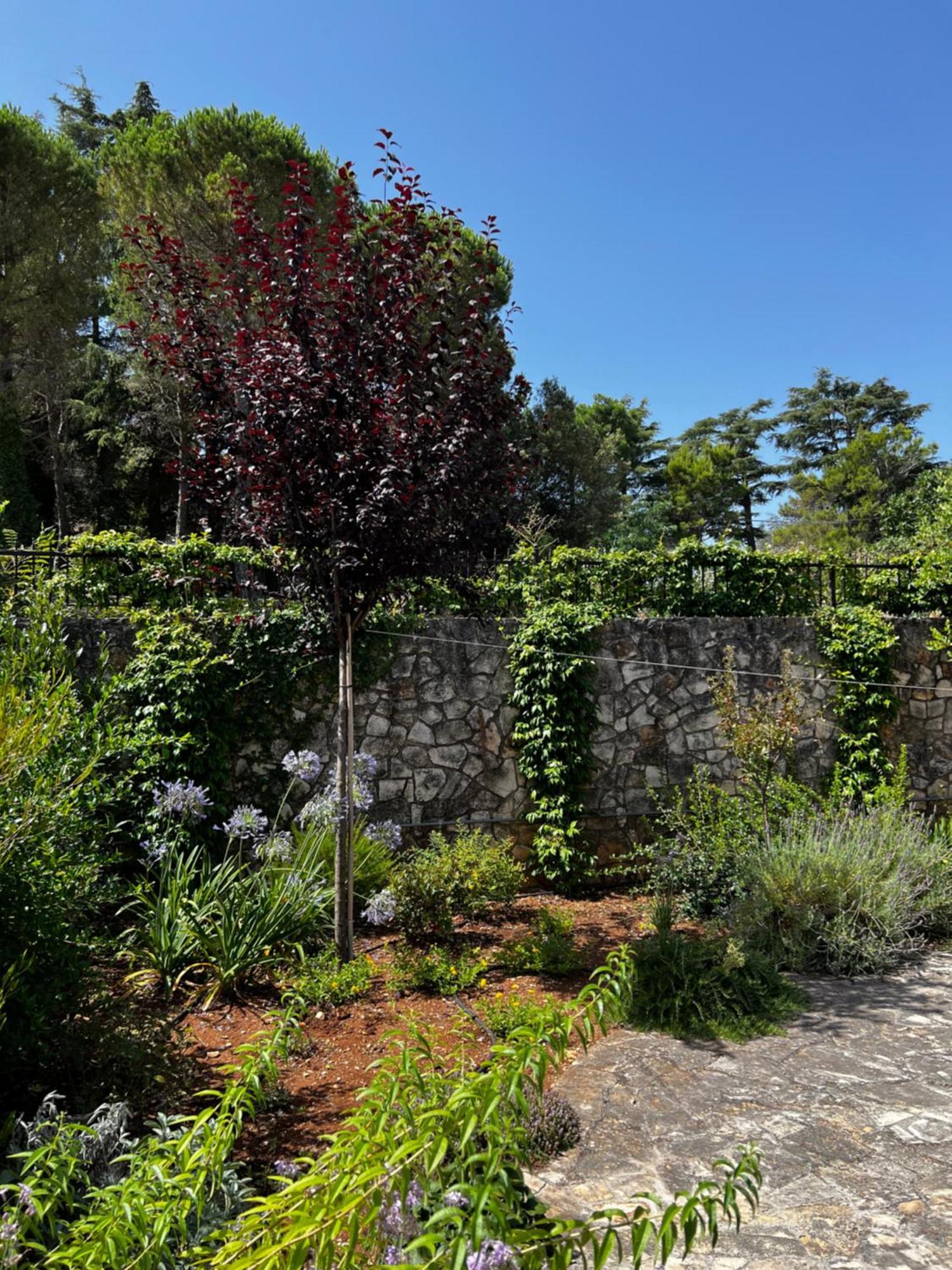 Dimora Di Bari Villa Selva Di Fasano Kültér fotó