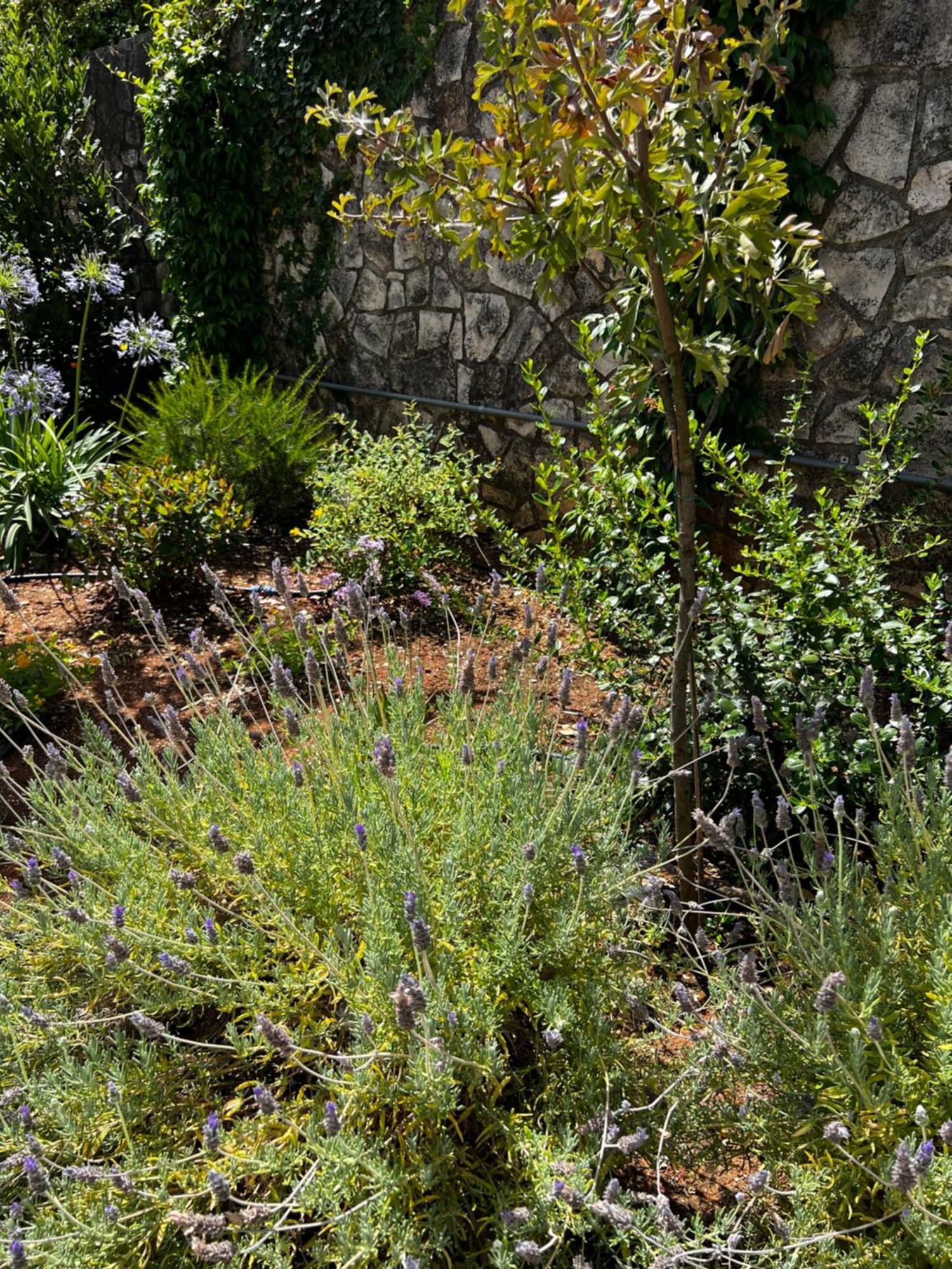 Dimora Di Bari Villa Selva Di Fasano Kültér fotó